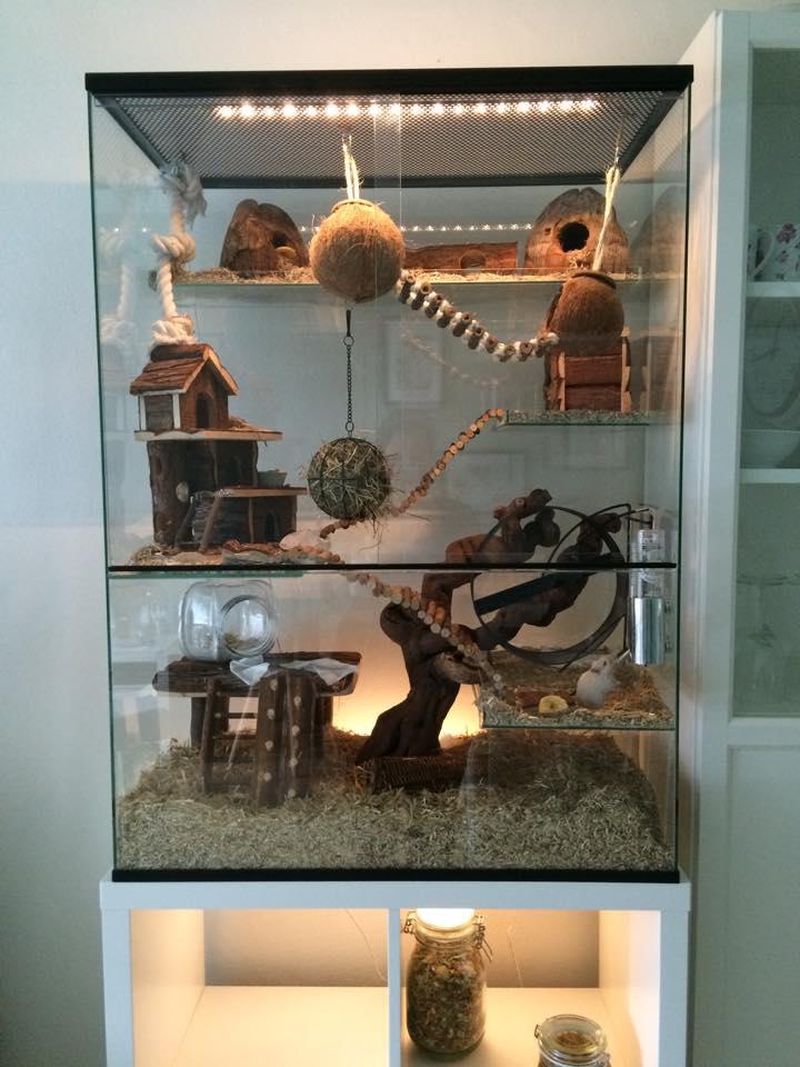 75x40x100 Gerbil / Degoe kooi van glas met schuifruiten